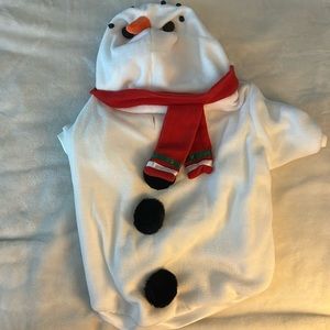 Snowman outfit dog